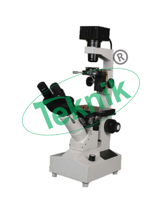 Microscope Equipment : Inverted Tissue culture microscope