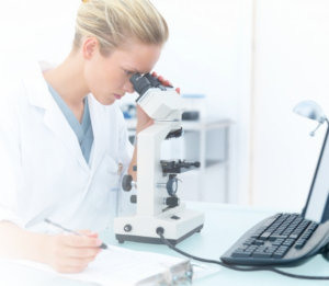 Scientific Laboratory Instruments and Equipment Manufacturer, Exporter, Dealer, Supplier