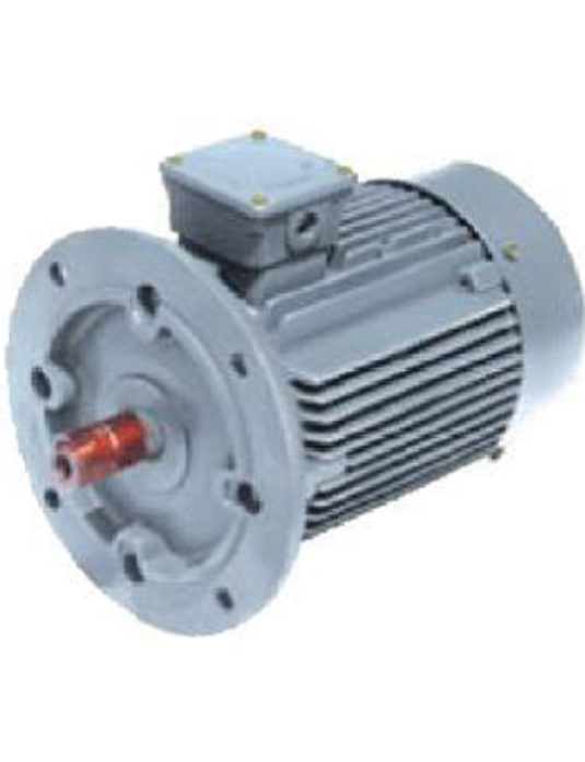 Three Phase Squirrel Cage Induction Motor