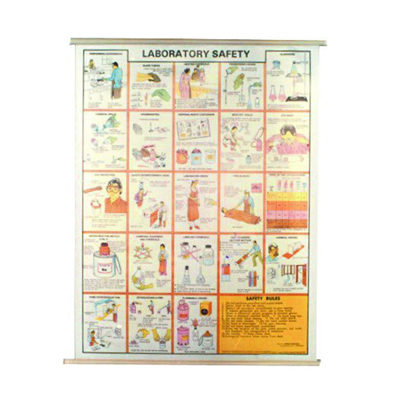 Safety Charts