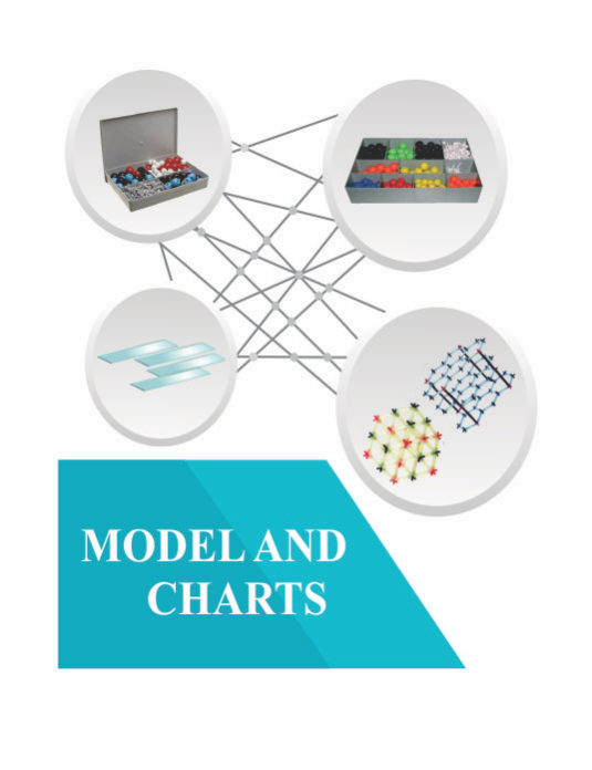 model and charts