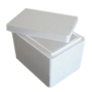 disposable ice box