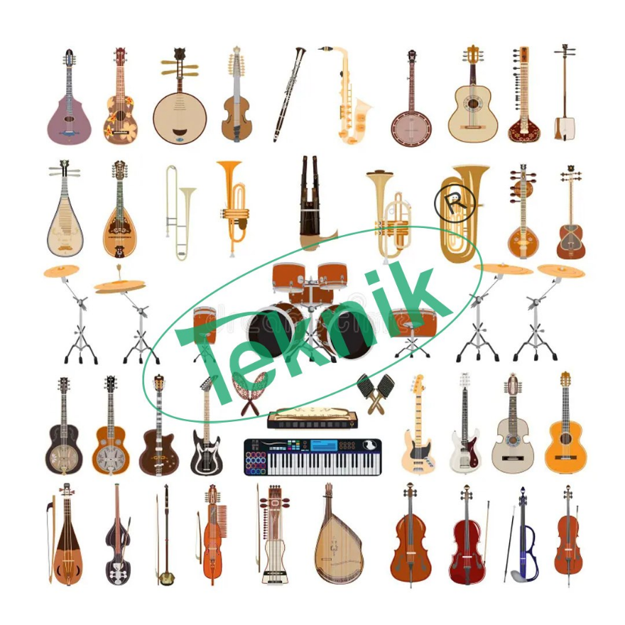 MUSICAL INSTRUMENTS