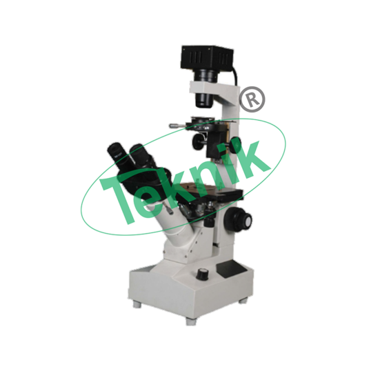 Microscope Equipment : Inverted Tissue culture microscope