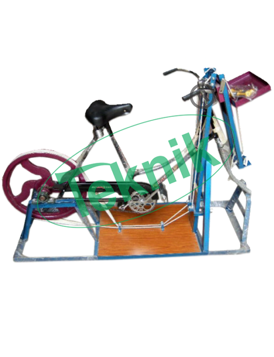 Pharmacology-Equipments-Bicycle-Ergograph