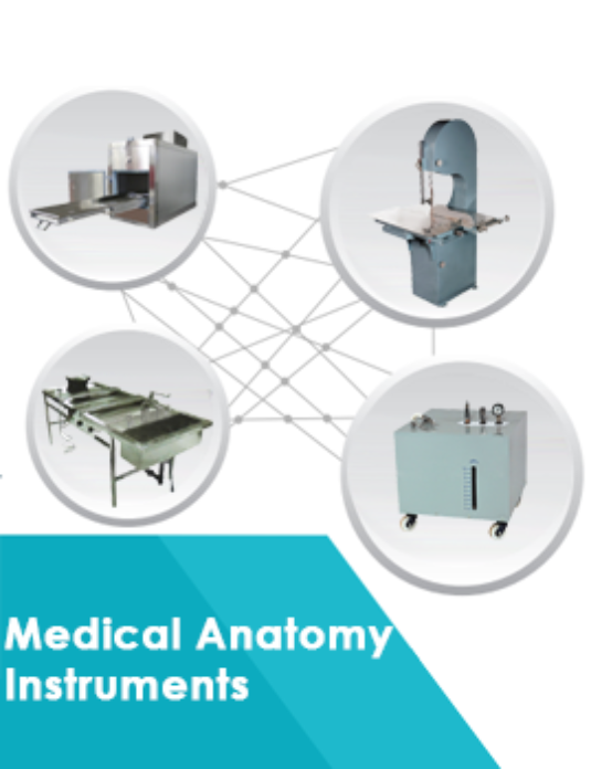 Medical Anatomy Instruments