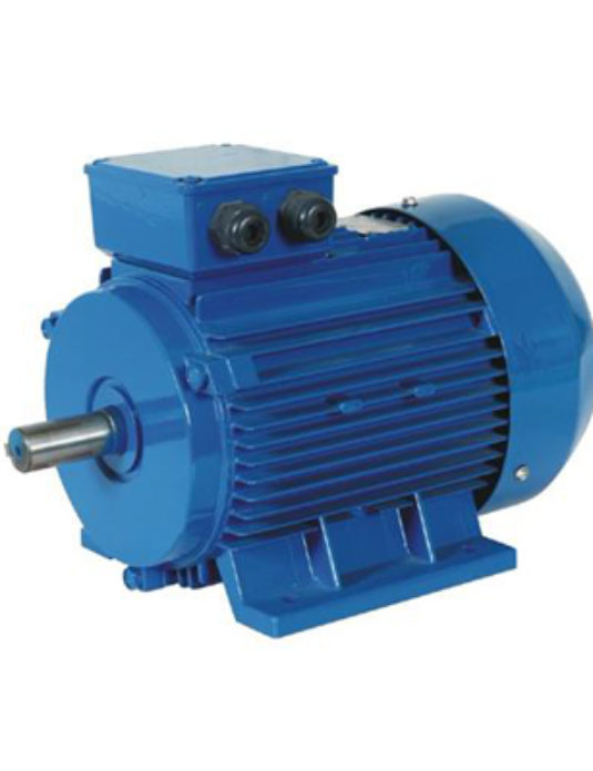 Three Phase Synchronous Motor