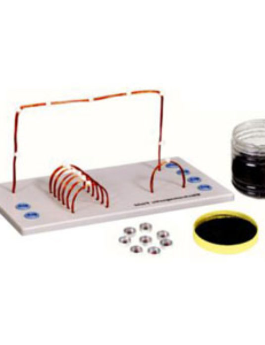 Electromagnetic-Field-Experiment