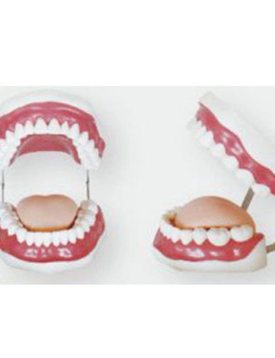 Oral-Hygiene-Model